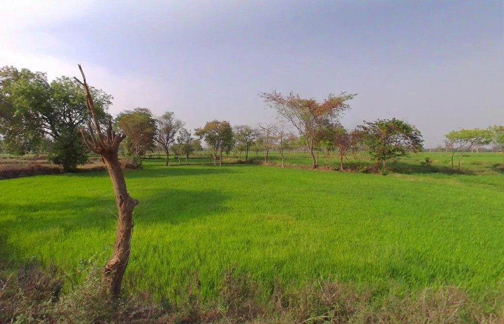 Tarra, Chhattisgarh 493887, India