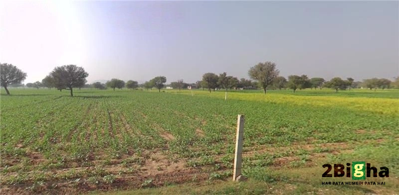 Mohanpura, Rajasthan, India