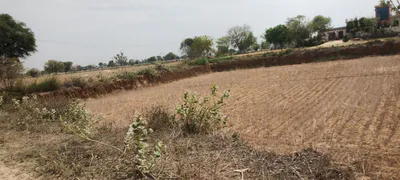 Ghat, Rajasthan, India preview 2