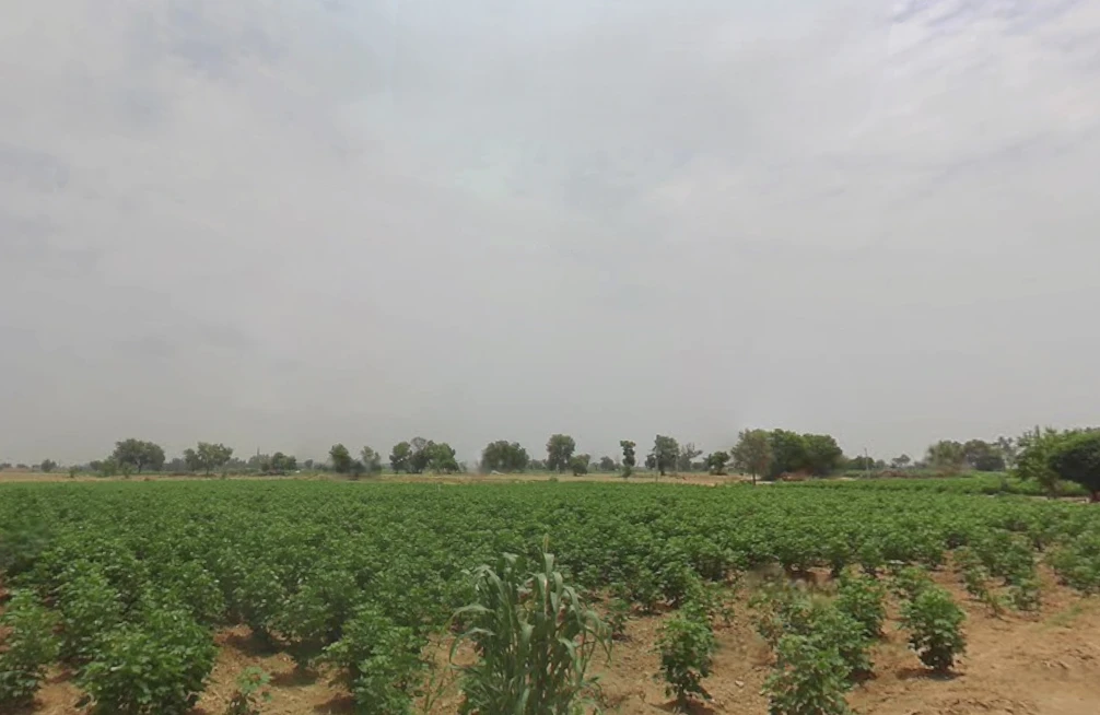 J745+M3R, Patsawra, West Bengal 713363, India