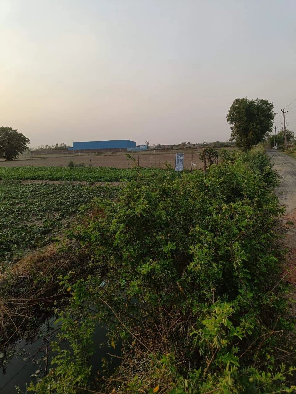 Chandauri, Uttar Pradesh, India