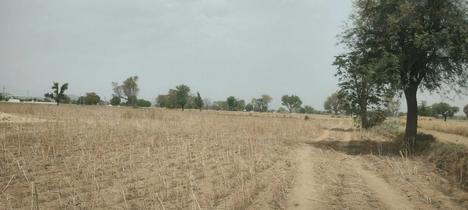 FV8W+Q4C, Chak Semli, Rajasthan 301021, India