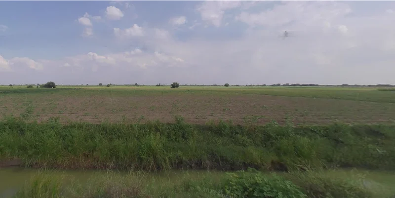 5HQ4+74J, Shertha, Gujarat 382423, India preview 3