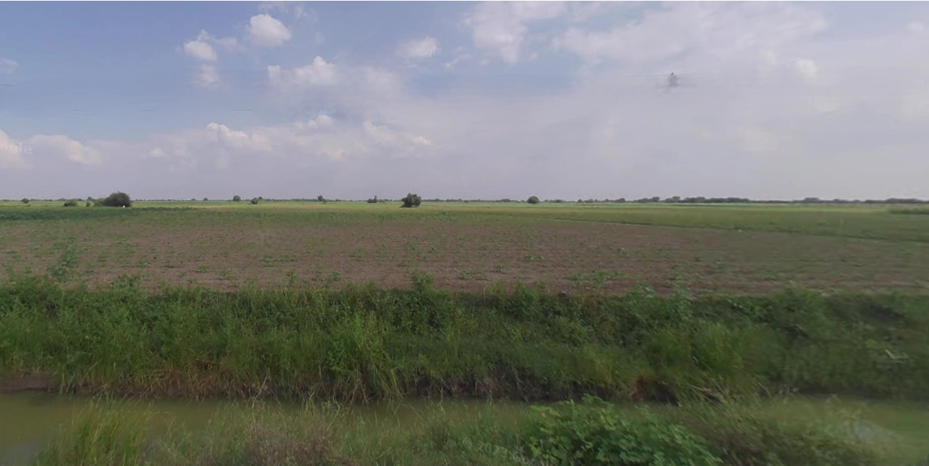 5HQ4+74J, Shertha, Gujarat 382423, India