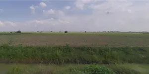 5HQ4+74J, Shertha, Gujarat 382423, India preview 3