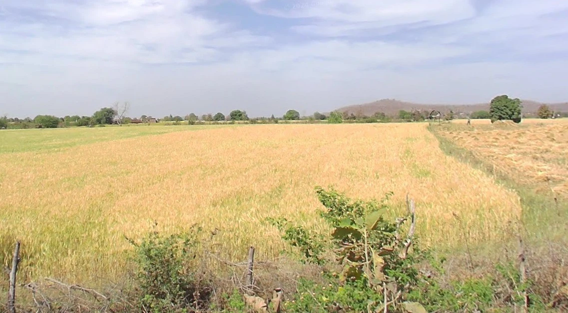 Kanakheda, Madhya Pradesh 458441, India