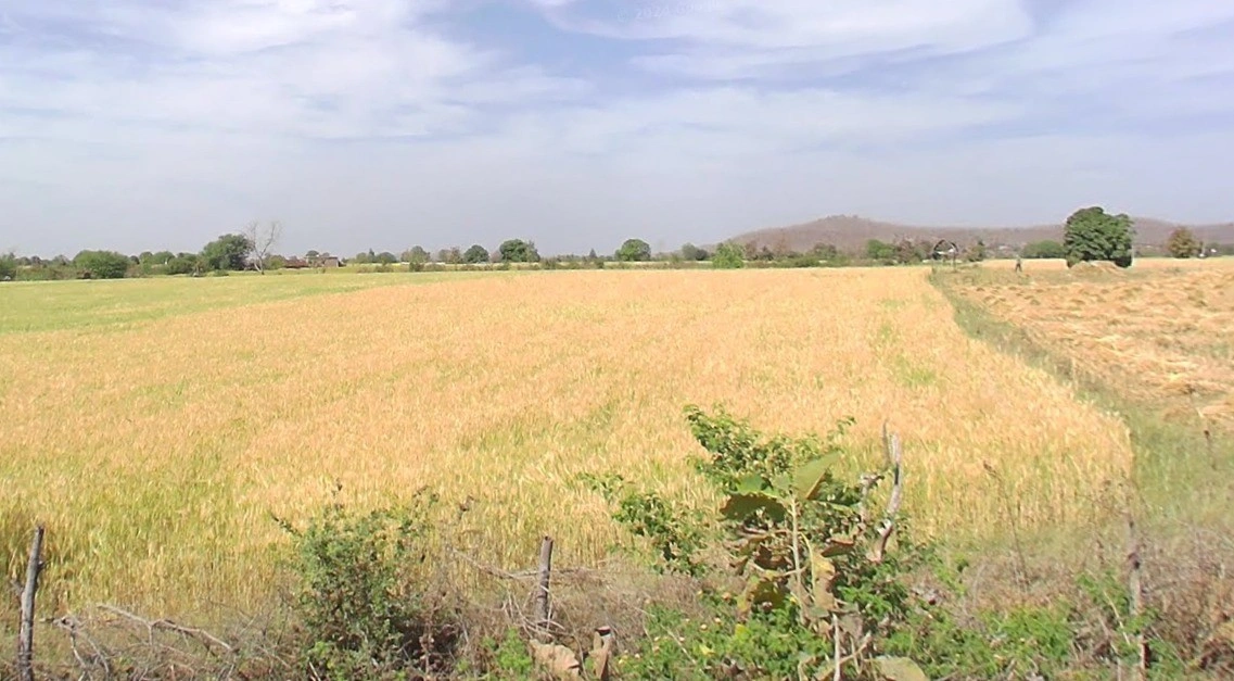 Kanakheda, Madhya Pradesh 458441, India