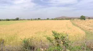 Kanakheda, Madhya Pradesh 458441, India preview 2