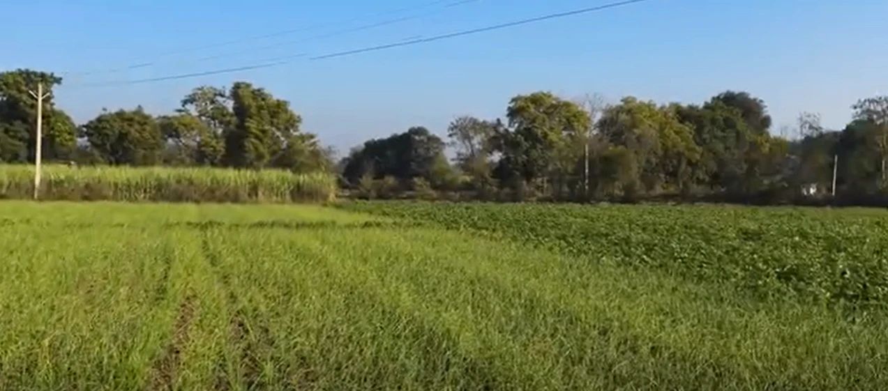 QQX7+P9, Mathura, Jarara, Uttar Pradesh 281205, India