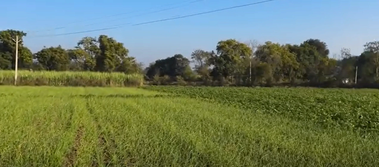 QQX7+P9, Mathura, Jarara, Uttar Pradesh 281205, India