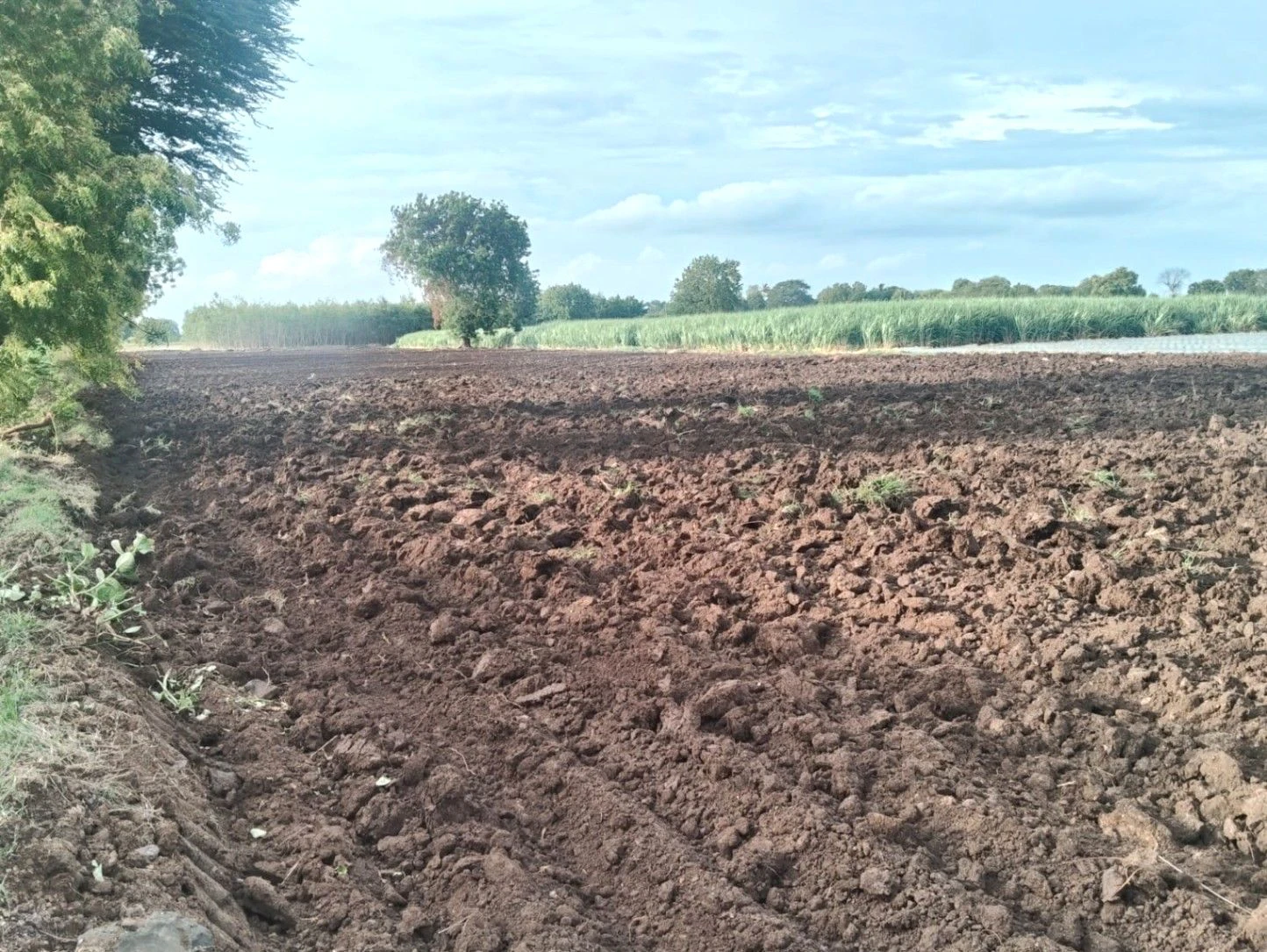 Aliganj, Raisen, Madhya Pradesh, India