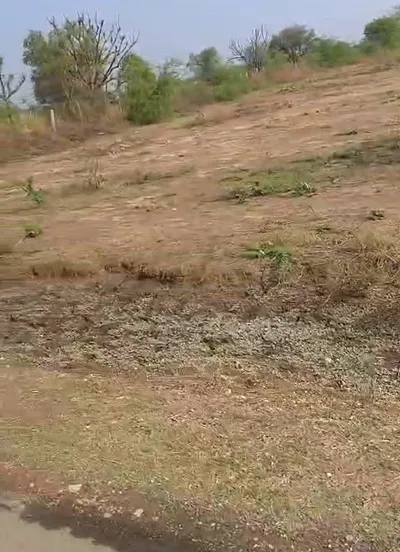 W7J7+47 Barh Chandrana, Rajasthan, India preview 3