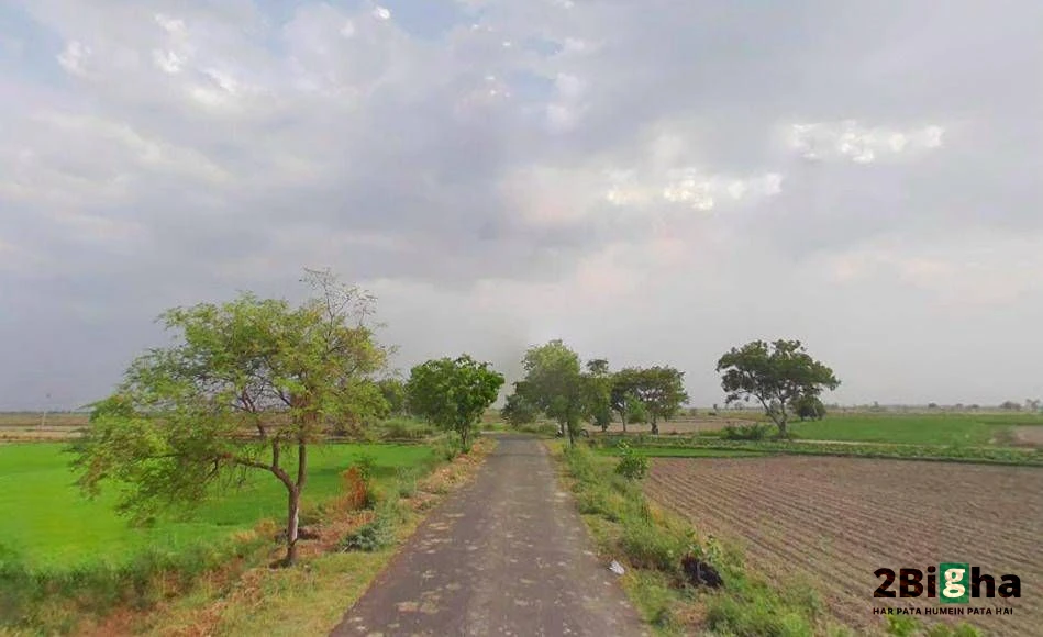 Kosi Kalan, Uttar Pradesh 281403, India