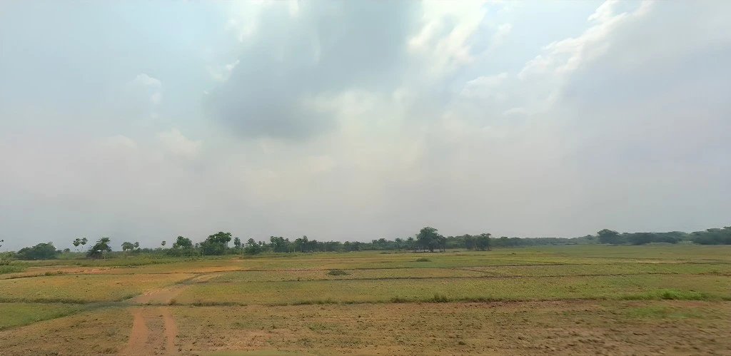 Rajla, Bihar, India