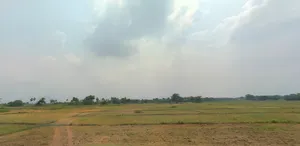 Rajla, Bihar, India preview 4