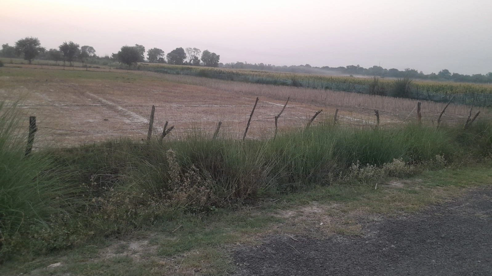 J7X4+V4 Khanpur, Uttar Pradesh, India preview 2