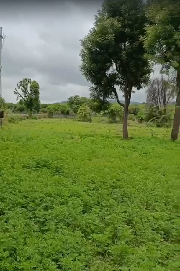 Gudli, Rajasthan 313024, India