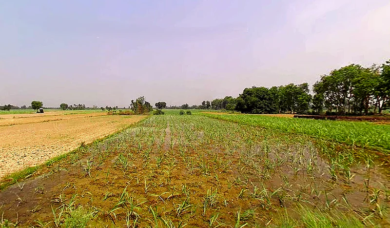 Sirsi, Uttar Pradesh 244301, India preview 3