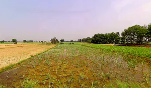 Sirsi, Uttar Pradesh 244301, India preview 3