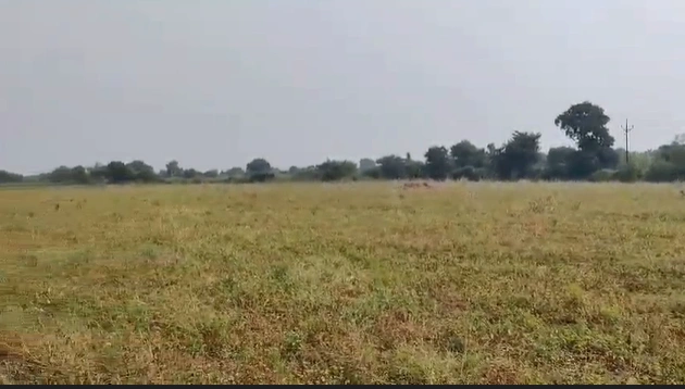 Kadoli, Khandwa, Madhya Pradesh 461441, India