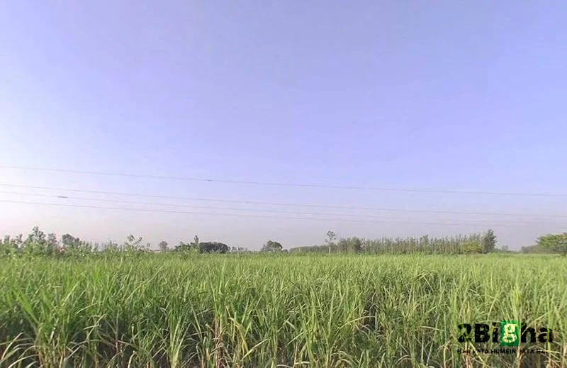 Khatauli, Uttar Pradesh 251201, India preview 3