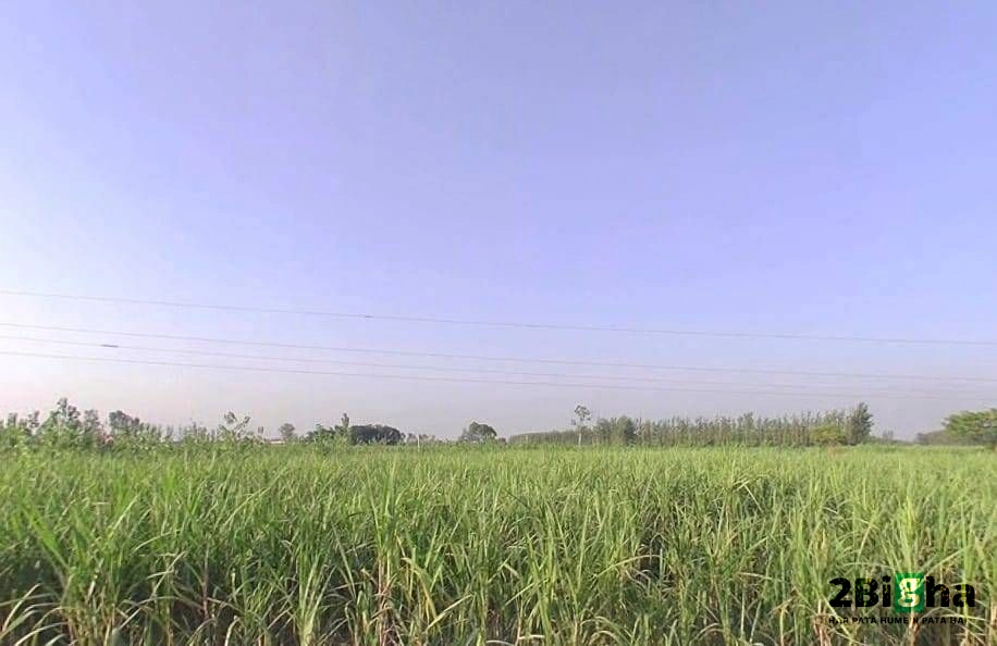 Khatauli, Uttar Pradesh 251201, India