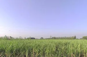 Khatauli, Uttar Pradesh 251201, India preview 3