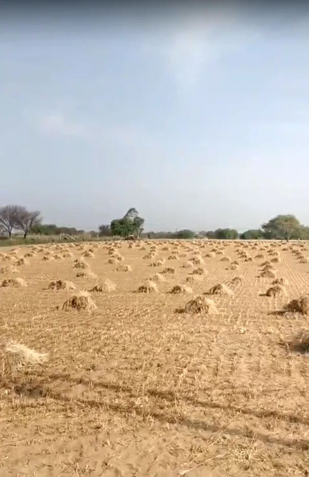 CGW4+QR Malikpur, Rajasthan, India preview 3