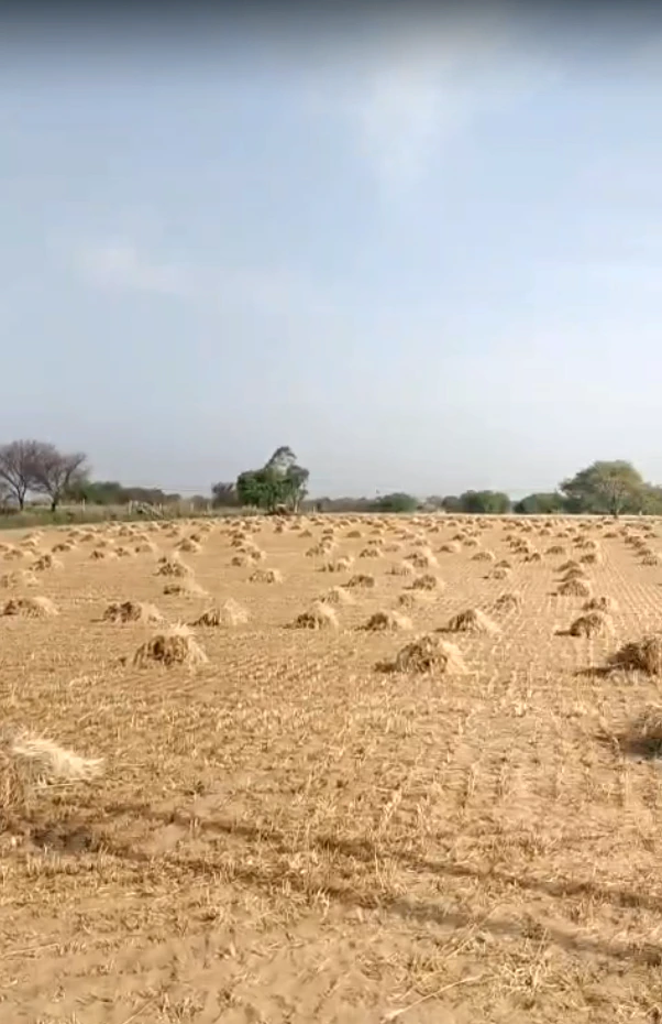 CGW4+QR Malikpur, Rajasthan, India