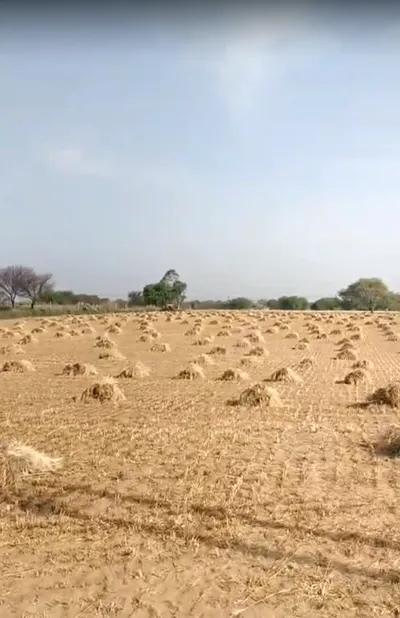 CGW4+QR Malikpur, Rajasthan, India preview 3