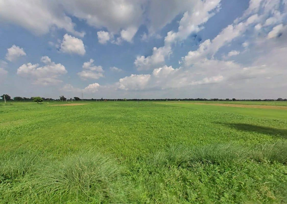 25CH+PR7, Bharatpur Rd, Weir, Rajasthan 321408, India