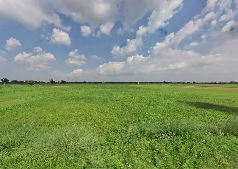 25CH+PR7, Bharatpur Rd, Weir, Rajasthan 321408, India preview 2