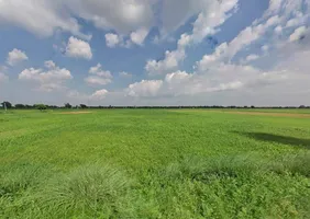 25CH+PR7, Bharatpur Rd, Weir, Rajasthan 321408, India preview 2