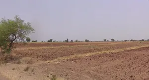 Shahpura, Madhya Pradesh 481990, India preview 3