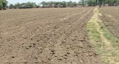 Dhardei, Janjgir-Champa, Chhattisgarh 495556, India preview 3