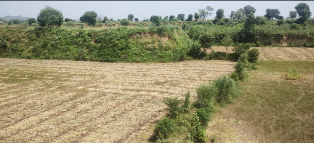 6JXV+9J9, Jaipur, Govindgarh, Rajasthan 303712, India