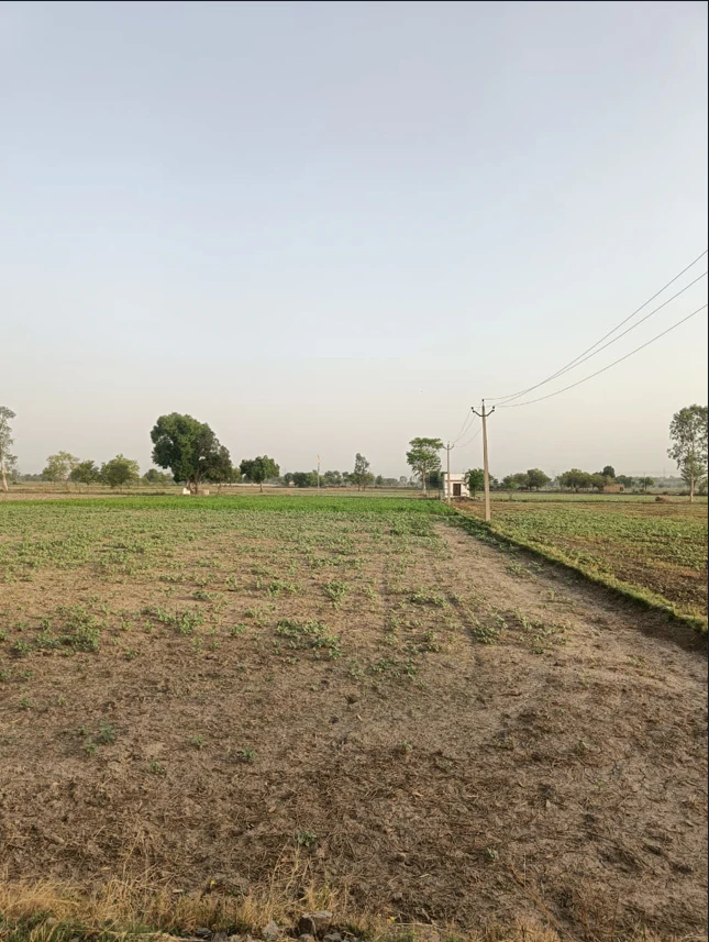 Kharkara, Haryana 124111, India