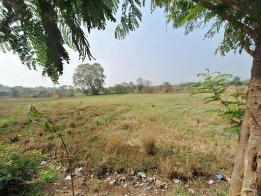 Pimpalgaon Lendi, Sindkhed Raja, Buldhana, Maharashtra, India - Photo 3