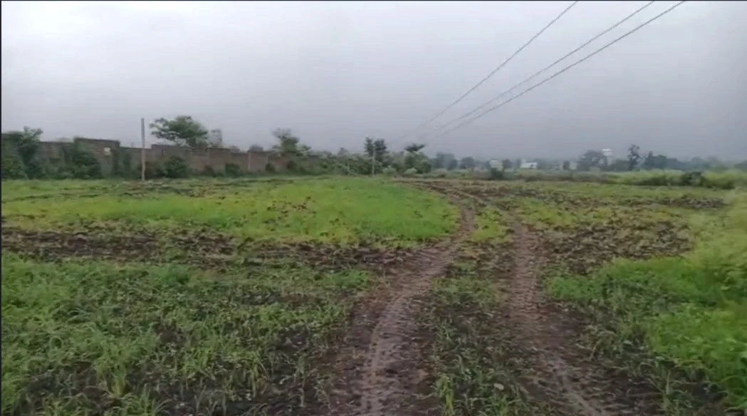 Kolar, Madhya Pradesh 484665, India