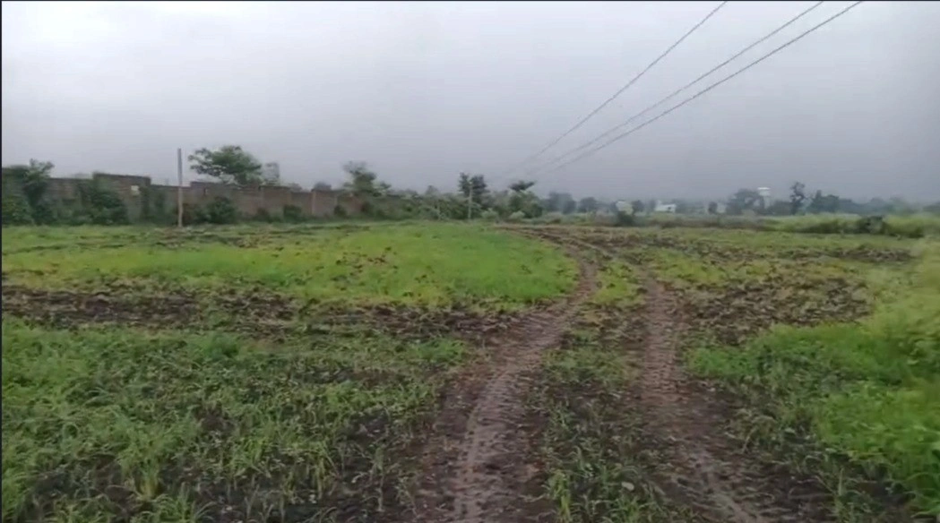 Kolar, Madhya Pradesh 484665, India