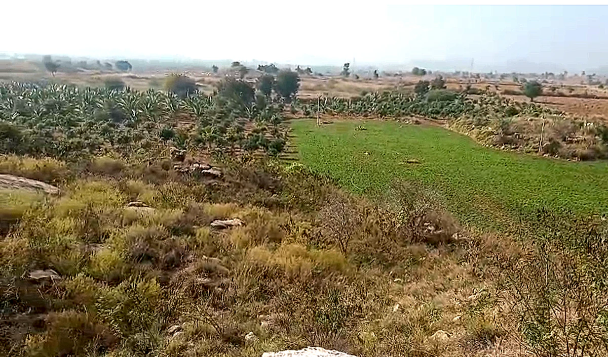 637P+2M Charupalle, Andhra Pradesh, India