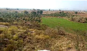 637P+2M Charupalle, Andhra Pradesh, India preview 3