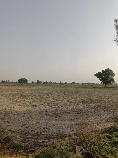 Bisauli, Badaun, Uttar Pradesh 243720, India preview 2