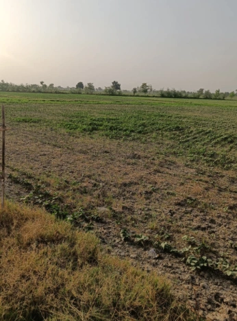 Nurpur Bedi, Punjab 140117, India preview 2