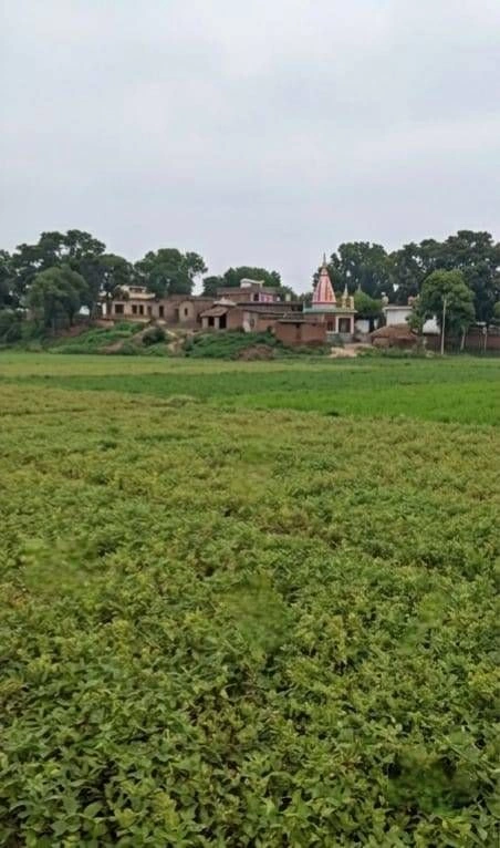 Barhana, Uttar Pradesh, India