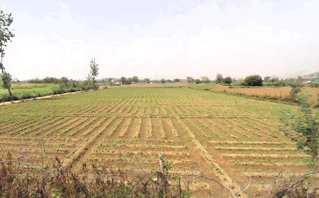 Faridabad, Haryana, India