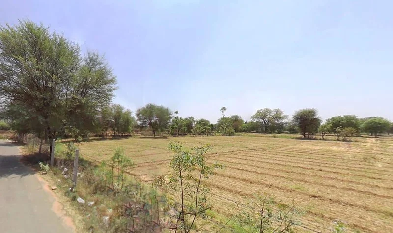 Bhatesari, Rajasthan, India preview 3