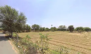 Bhatesari, Rajasthan, India preview 3