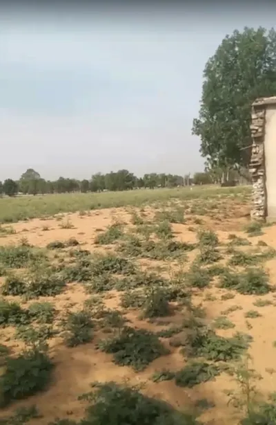 CCQ9+CR2, Khatu Shyam Ji Rd, Mandha, Rajasthan 332402, India preview 3