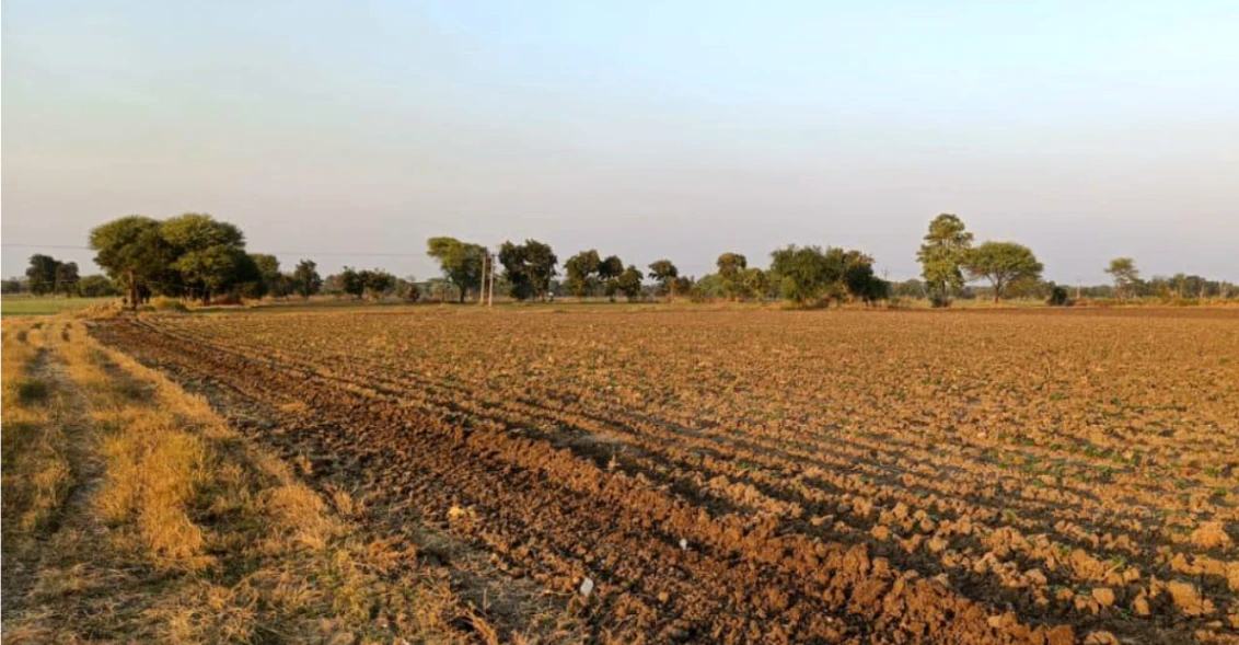 F7X2+XX Bhadson, Patiala, Punjab, India